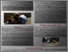 [thumbnail of Published poster of event]